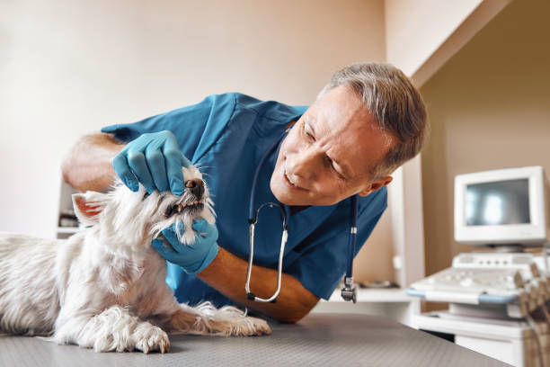 Best Broken Tooth Emergency  in Beardstown, IL
